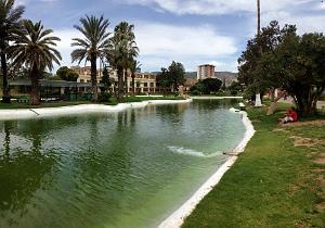 ORAN-Jardin public d'Oran 1